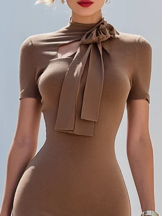 Brown Bow Cut Out Knit Crew Neck Short Sleeve Regular Sleeve Sheath Midi Dress