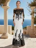 White Lace Mesh Bridal/Wedding Dress Crew Neck Long Sleeve Sheath Gown